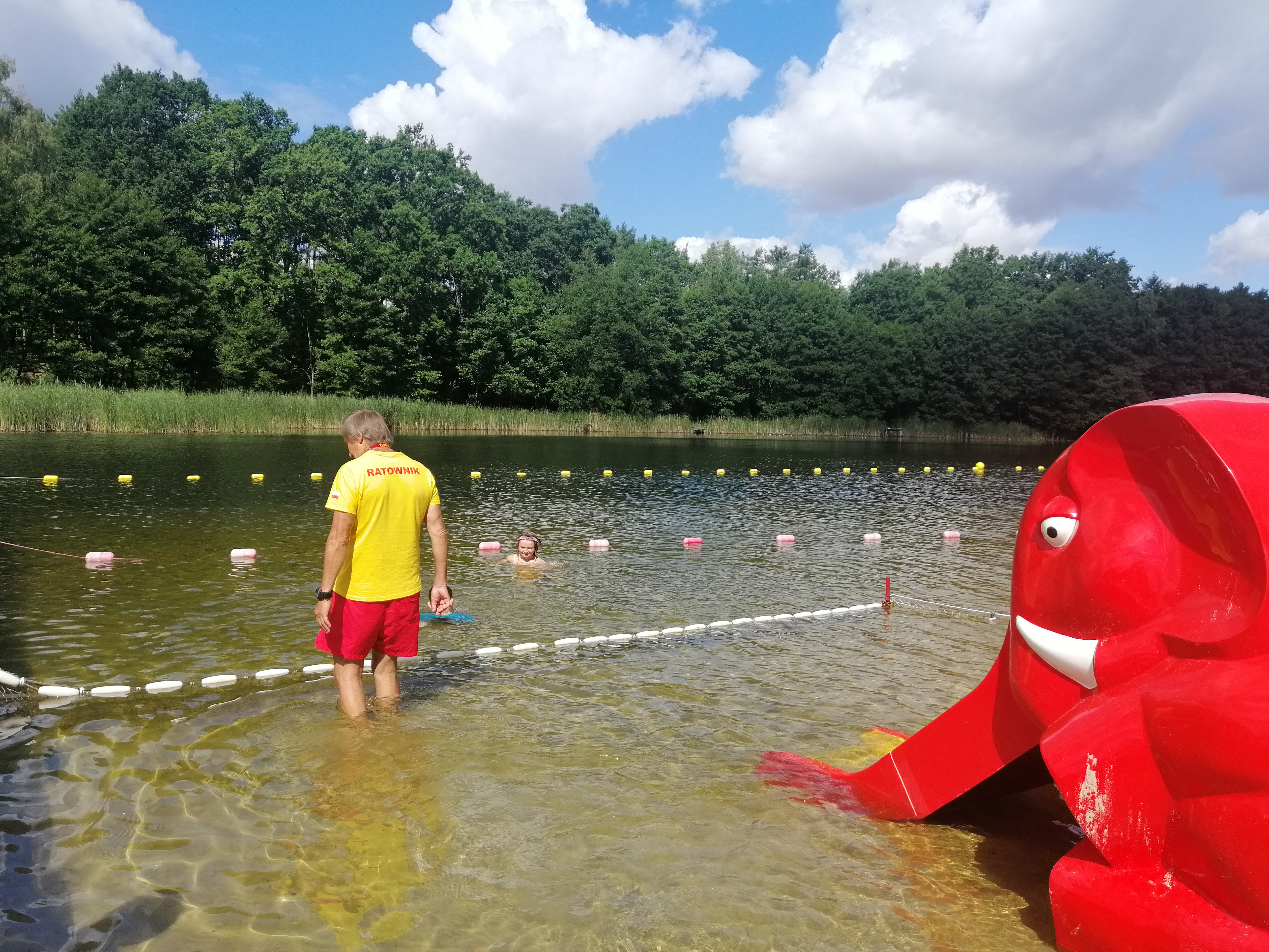 Ilustracja do informacji: Bezpłatna nauka pływania nad rzepińskim jeziorem!