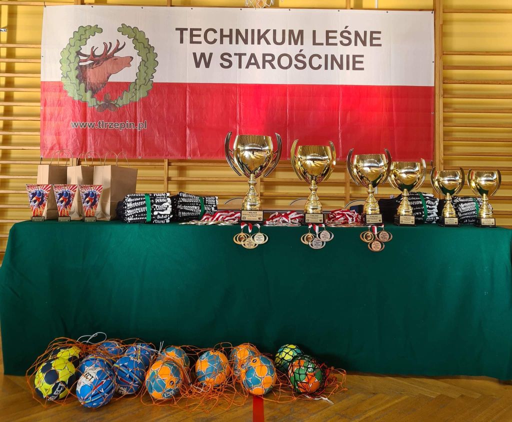 Ilustracja do informacji: VIII Mistrzostwa Polski szkół leśnych Ministra Klimatu i Środowiska w piłce ręcznej chłopców 
